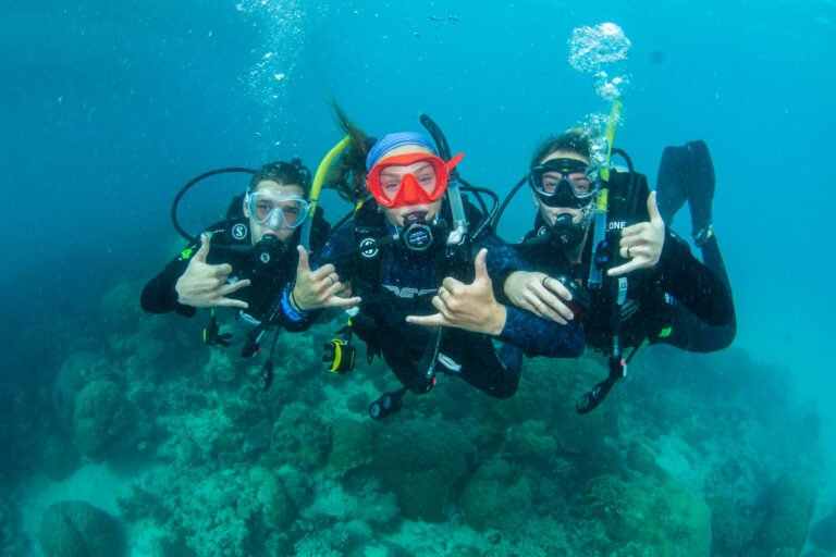 Discover Scuba Diving for Beginners: No Certification Required