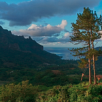 The Ultimate Budget Guide to French Polynesia